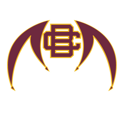 Bethune Cookman Wildcats 2010 Pres Alternate Iron-on Stickers (Heat Transfers)NO.4001